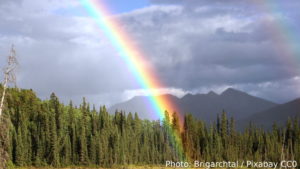 Image: Rainbow