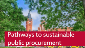 Cover: Pathways towards sustainable public procurement