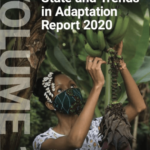Cover: State and Trends in Adaption Report 2020